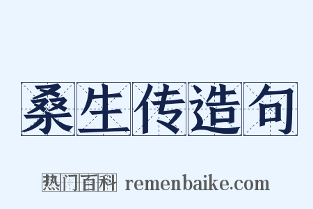桑生传造句是什么意思的图片